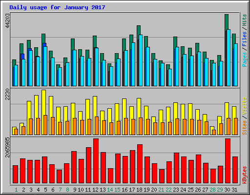 Daily usage for January 2017