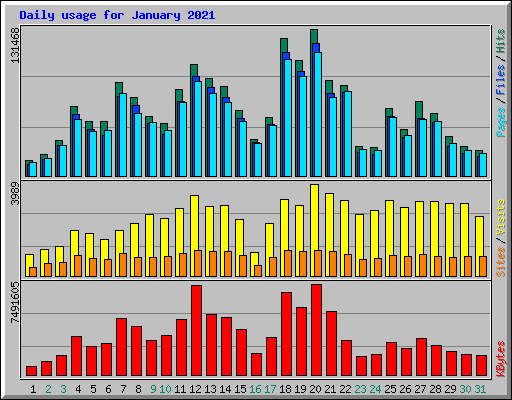Daily usage for January 2021