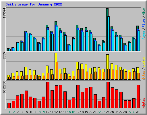 Daily usage for January 2022