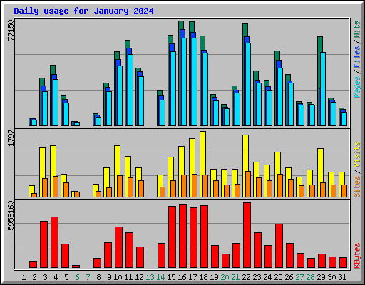 Daily usage for January 2024