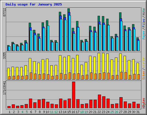 Daily usage for January 2025