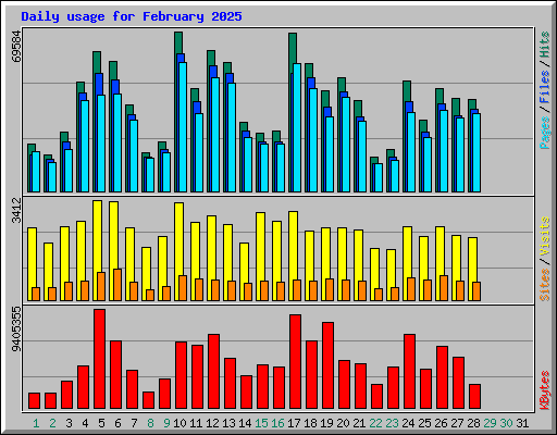Daily usage for February 2025