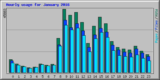 Hourly usage for January 2016