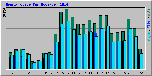 Hourly usage for November 2016