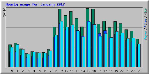 Hourly usage for January 2017