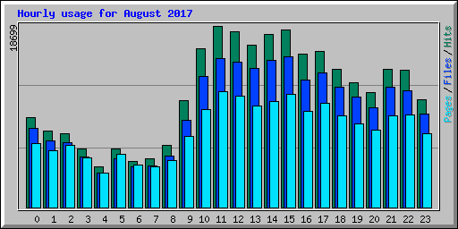 Hourly usage for August 2017