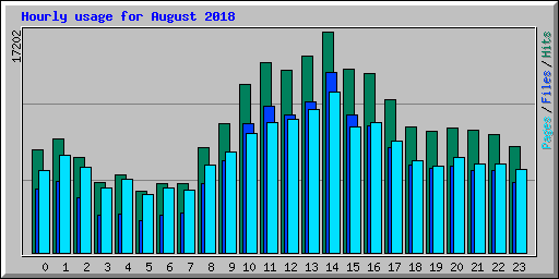 Hourly usage for August 2018
