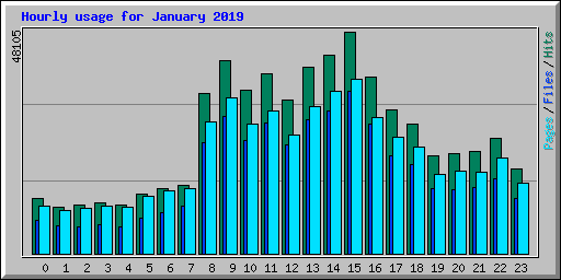 Hourly usage for January 2019