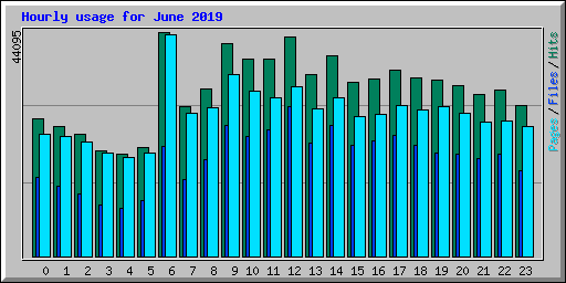 Hourly usage for June 2019