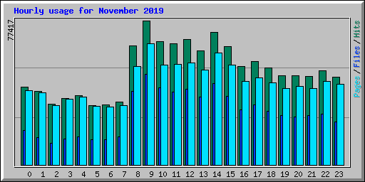 Hourly usage for November 2019