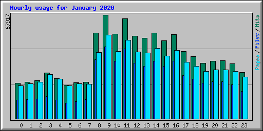 Hourly usage for January 2020