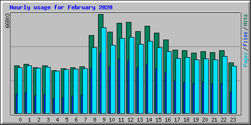 Hourly usage for February 2020