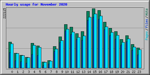 Hourly usage for November 2020