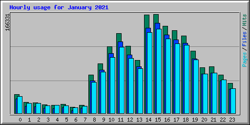 Hourly usage for January 2021