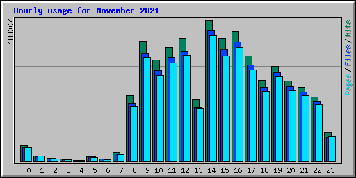 Hourly usage for November 2021