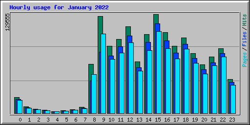 Hourly usage for January 2022