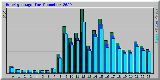 Hourly usage for December 2022