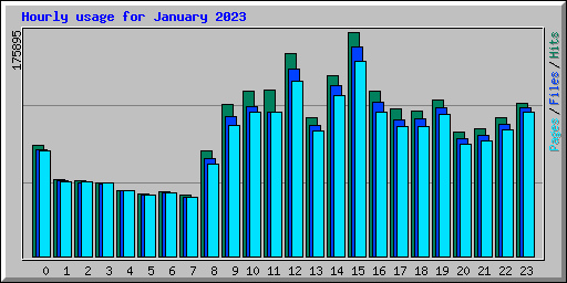 Hourly usage for January 2023