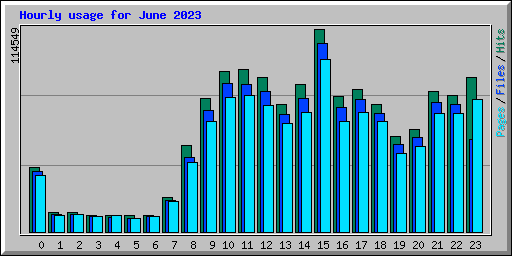 Hourly usage for June 2023