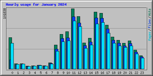 Hourly usage for January 2024