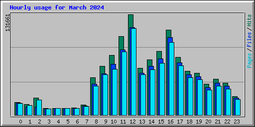 Hourly usage for March 2024