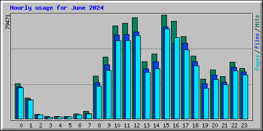 Hourly usage for June 2024