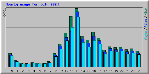 Hourly usage for July 2024