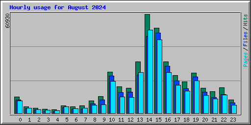 Hourly usage for August 2024