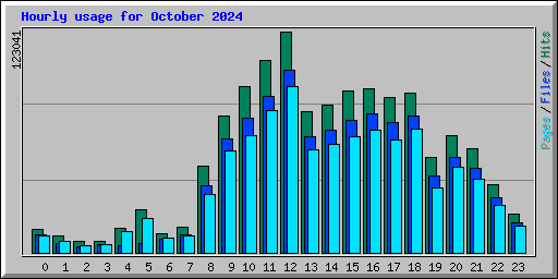 Hourly usage for October 2024