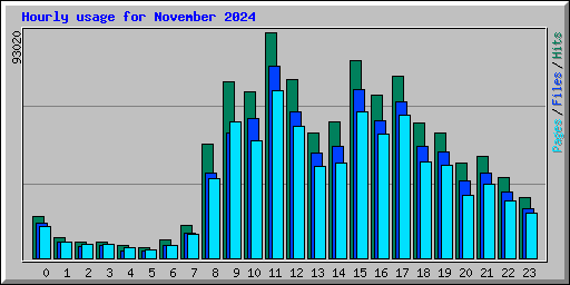 Hourly usage for November 2024