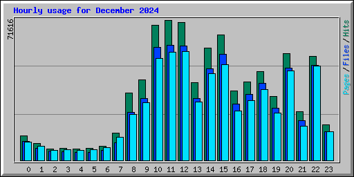 Hourly usage for December 2024
