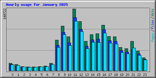 Hourly usage for January 2025
