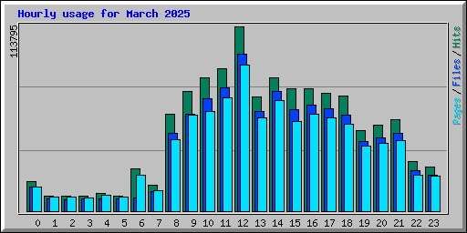 Hourly usage for March 2025