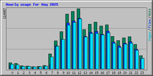 Hourly usage for May 2025