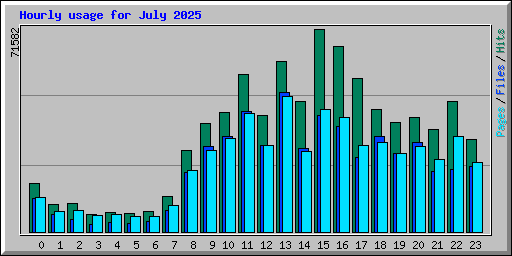Hourly usage for July 2025