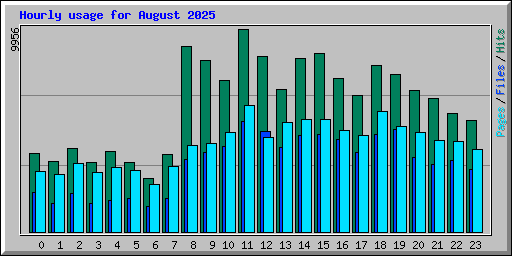 Hourly usage for August 2025