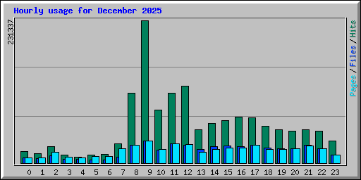 Hourly usage for December 2025