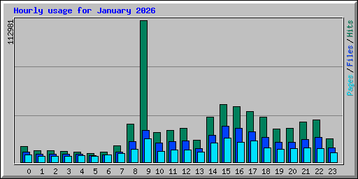 Hourly usage for January 2026