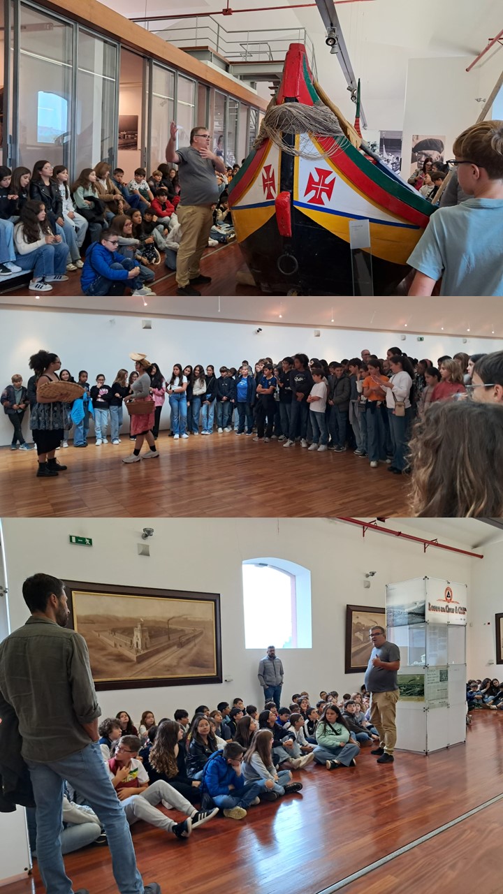 Média da notícia