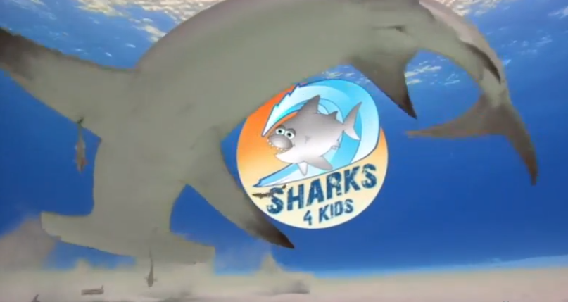 Anexo Sharks4kids.png