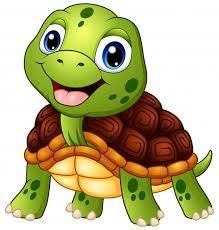 Tartaruga