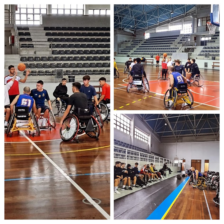 Basket adaptado 2