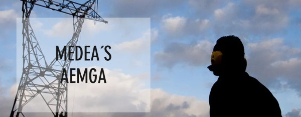 AEMGA no projeto MEDEA  (https://medeaaemga.wixsite.com/aemga)